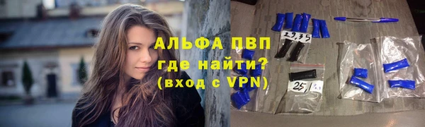 ГАЛЛЮЦИНОГЕННЫЕ ГРИБЫ Корсаков