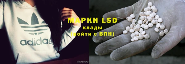 ГАЛЛЮЦИНОГЕННЫЕ ГРИБЫ Корсаков