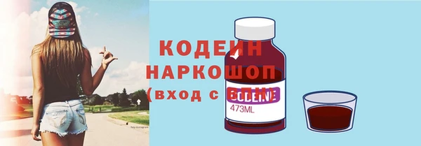 ГАЛЛЮЦИНОГЕННЫЕ ГРИБЫ Корсаков