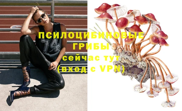 mix Коряжма