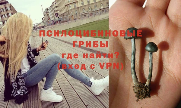 ГАЛЛЮЦИНОГЕННЫЕ ГРИБЫ Корсаков