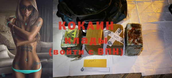 ГАЛЛЮЦИНОГЕННЫЕ ГРИБЫ Корсаков