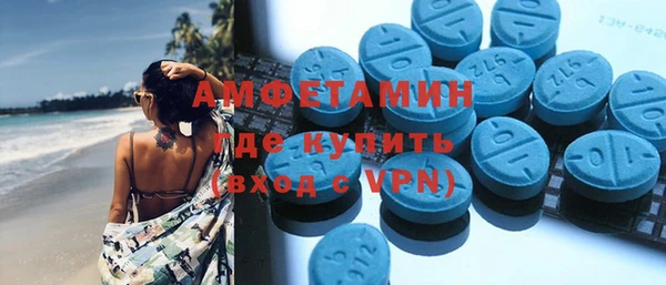 ГАЛЛЮЦИНОГЕННЫЕ ГРИБЫ Корсаков