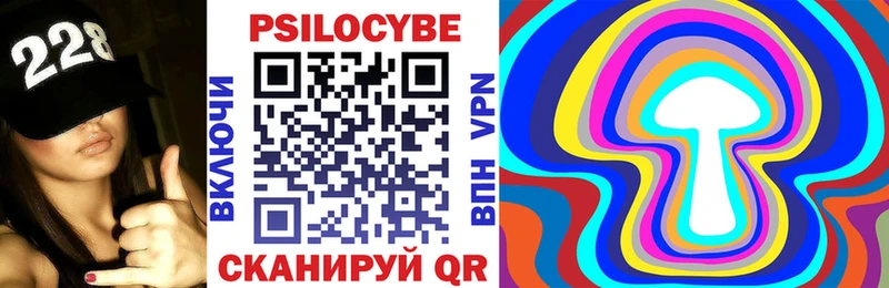 Купить где  Сасово  Псилоцибиновые грибы Psilocybe 